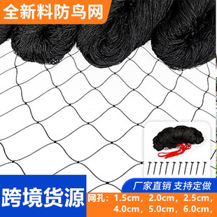 �羳�Ӵ������W�S�ҷ��B�W�w�C���~����W�Bֳ���@���B�W�W��