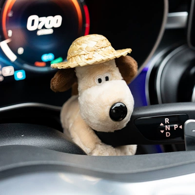 New Model Car Turn Signal: Car ornaments - straw-hat-dog-pocket-decoration
