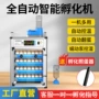 控温智能自动补水孵化机