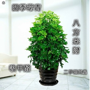 �҃����_ľ�˷���ؔ���Ի������~ɏ��lؔ��Gֲ����ľֲ����B��