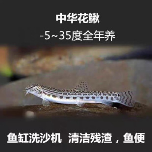 ���A���q �ԼS����~ ԭ���~ ��ˮ�坍�~ ����� ��ˮ�~ ϴɳ��