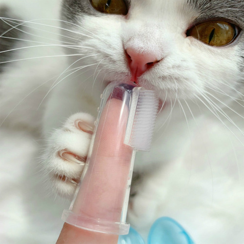 Pet finger brush, dog and cat finger brush, latex finger brush for dogs, oral hygiene brush for pets, pet toothbrush