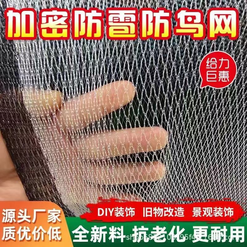 防厂家直销农用防防鸟网户外防雹网冰雹批发冰雹果园网葡萄网其他