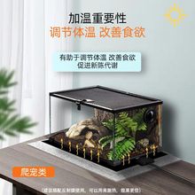 �����ӟ�|�ľ�з�،m����������߶��~�ׂ}�����n�a�ؿ؜ؼӟ��