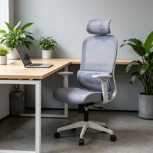 ZSBW002A �\�ҾW�����w���W�k���Σ��^���o�� ͸�⿿���������D