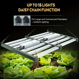 植物生长灯;红外线灯;其他专用灯具