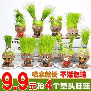 Grass Head Long Grass Doll Head Long Grass Children Planting Small Potted Plants Grass Green Plants Observation Plant Kindergarten Growth