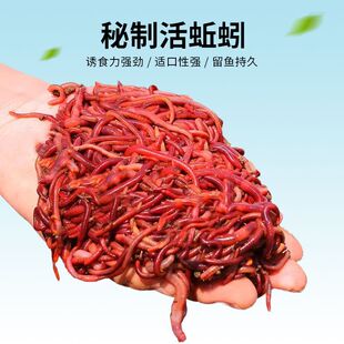 ���������ș�ƽ����~�DҰ�ͨ���ڿ��a�~���~�N���_���ļ��t�x�D