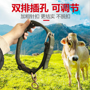 ţ����˨ţ���׿������F���Ȧţ�K���Bֳ�O����Ȯ���ײ��K��KȦ