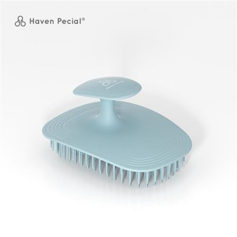 Massager, shampoo for scalp, brush