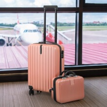 E 31331 PP Material Luggage with Hook ���������� ŷ���羳��
