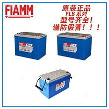 FLAMM �Ƿ� FLBϵ��12FLB100P/150P/200P250P/300P����