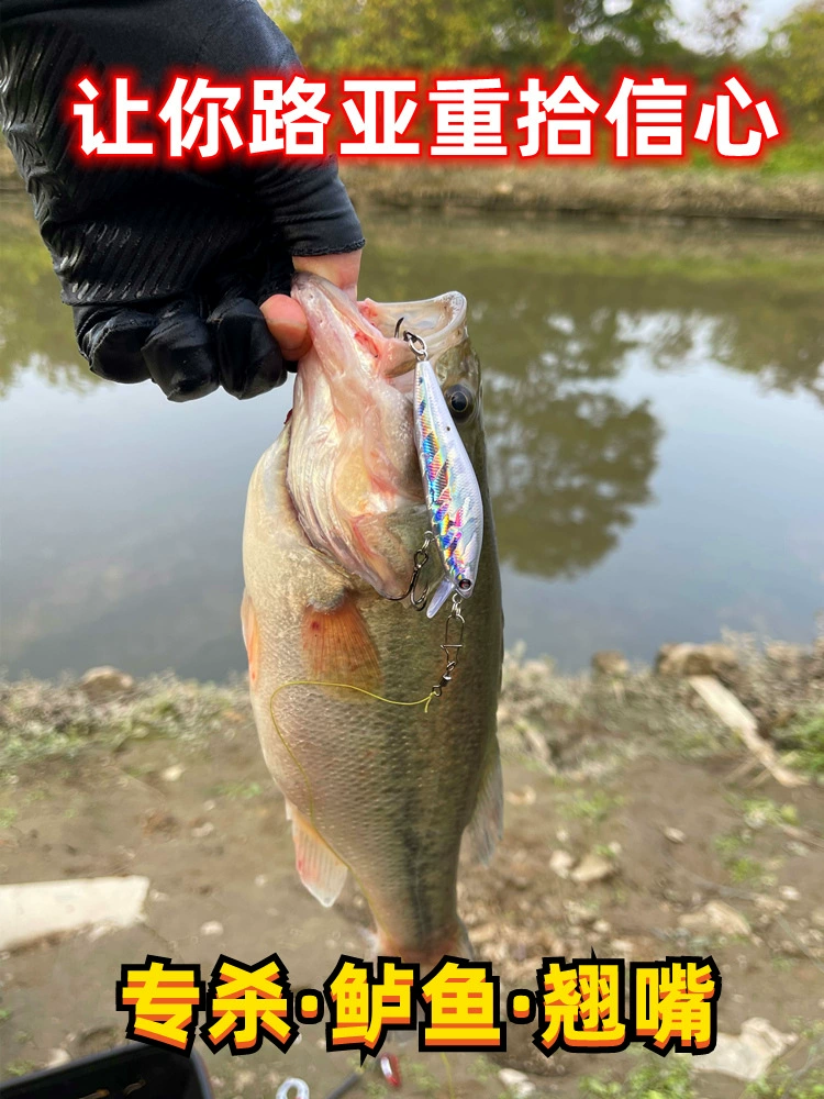 Mino Luya Gel Cash Fish Knife Far Surgery Slows and Slows, Fresh Water Sea Fishing Bass Bass Bass Baccusted Bait Bait Bait