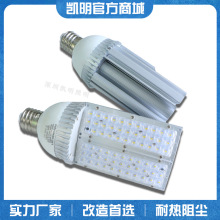 LED玉米路灯光源30W 65W 70W 100W 120WE27E40马路灯单面照明光源