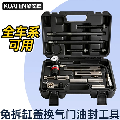 Car Engine Valve Oil Seal Removal and Installation Tool for Bmw, No-Disassembly Cylinder Head Valve Oil Seal Replacement Tool with Spring Press