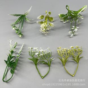 9cm�ɲ�С��ˮ�� ���Ϸ���ֲ��ˮ����� ����ˮ���쾰�����ٗl