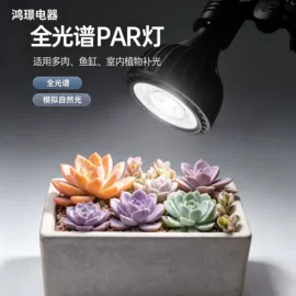 植物生长灯;灯柱灯杆;水族照明设备