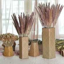 ���l���ݾ������軨�@�پ��񾎿�ɻ�ƿ�滨���JȔ������͏d�b�