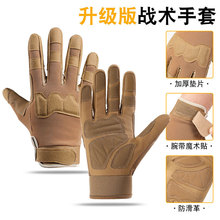 �羳�Lָ���g�����п��T���\���ݳ����|��������ɽ������ĥȫָA1