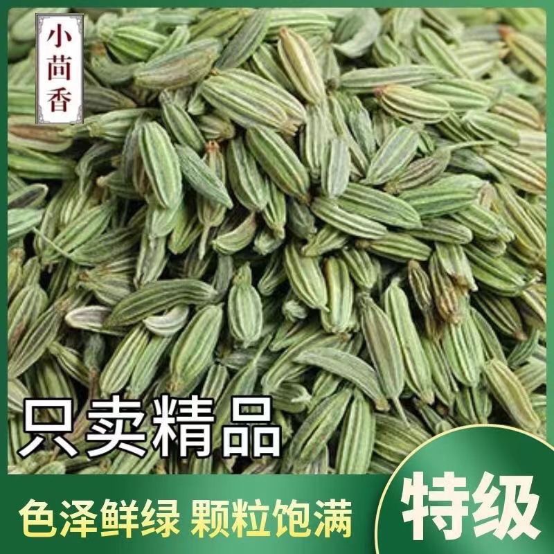 甘肃小茴香颗粒新货足干香料调料批发香辛料卤肉料干货食用亚马逊