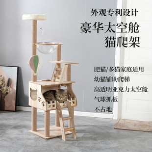 �羳���N؈����؈�C؈��һ�w����؈���Ӵ�؈��؈�ļ�ͨ��