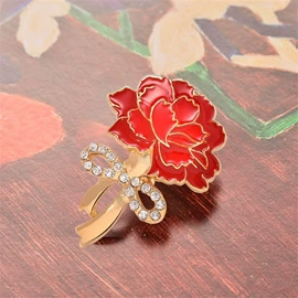 胸针;耳钉;耳环