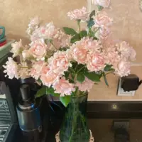 Многоголовые розы Sufeng напрямую с базы в Юньнани для свадебного двора на День святого Валентина, гидропонные цветы с бесплатной доставкой SF Express.