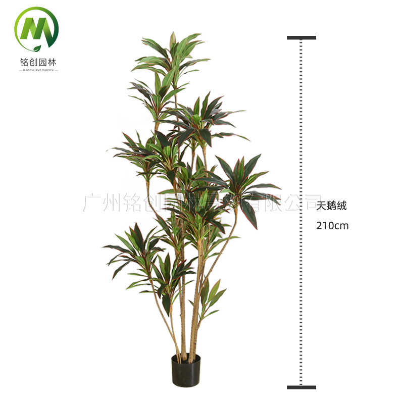 Simulación de paisaje de plantas verdes Terciopelo Planta falsa de hierro brasileño de alta gama Planta en maceta Simulación de suelo interior Planta verde con maceta