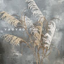 Ұ�JȔ���滨 �Ҿ��b��JȔ��Y�b��߻��ķ��滨�[���ٻ�