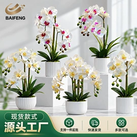 仿真绿植;仿真花