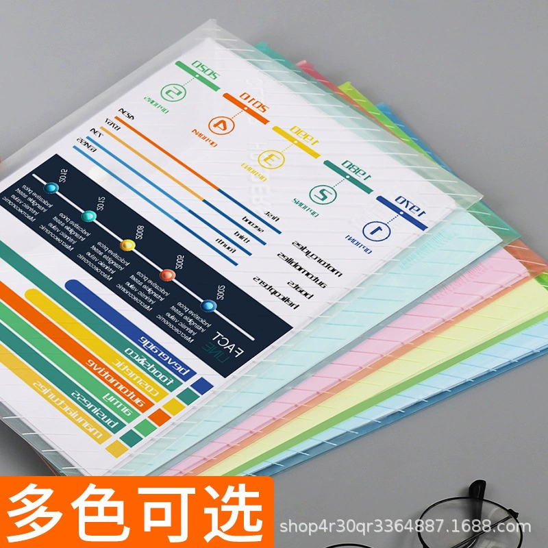 Capacious storage bag for folders, increased thickness