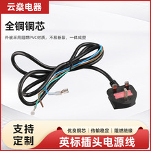 BS1363ӢʽԴ^Ӣ13A^၆оԴ^