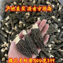 羊肚菌干货500g云南土产食用菌类野生级新鲜蘑菇香官方旗舰店