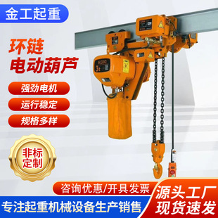 Electric chain hoist