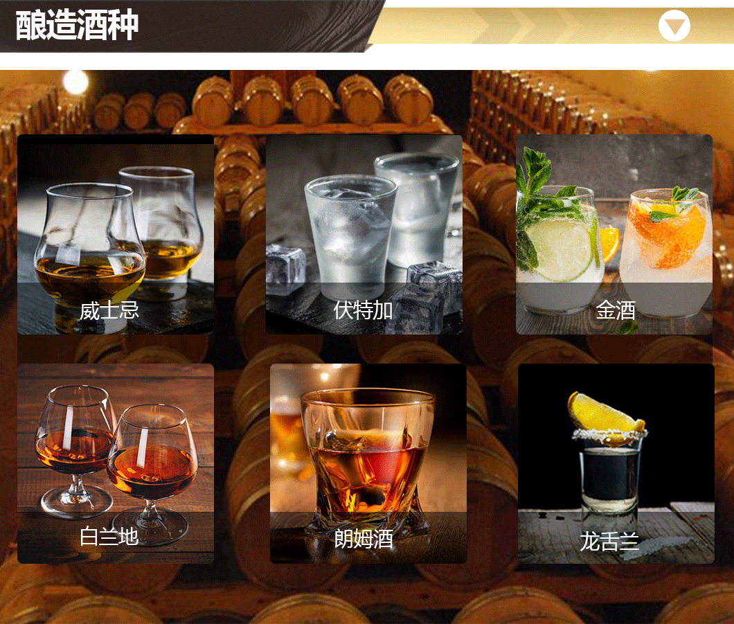 蒸馏设备03.png