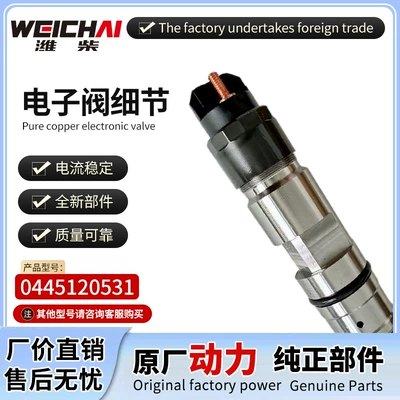 0445120531 Weichai JX493 engine, Oil pump, nozzle