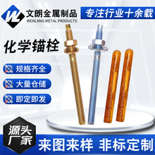 化学锚栓镀锌5.8级建筑膨胀化学锚固螺栓幕墙用化学锚栓 定型药剂