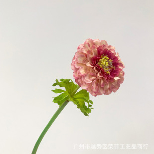 ���滨 ��֦����վ� �����f�۾Ն�֦�ջ��z�ܷ��滨��c�ҾӔ[�O