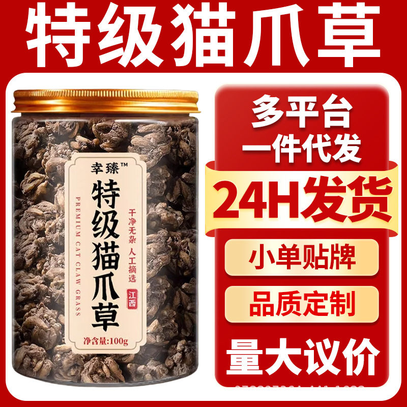 Premium Cat's Claw Herb Mao Zhua Cao Dried Root for Traditional Herbal Decoction Tea 100g overview