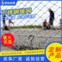 动物园柔性学校植物绳网