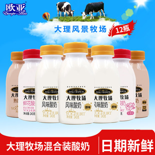 �W��ţ�̴��������͜�������ţ��243g*12ƿԭζ�������r������Ʒ