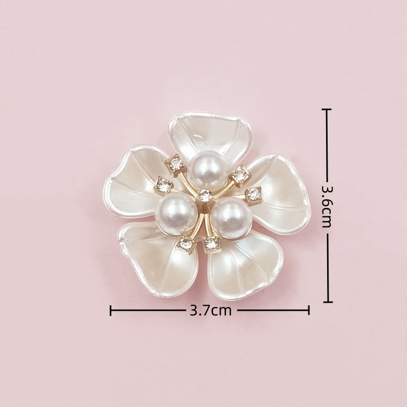 IMG20231115132900_副本