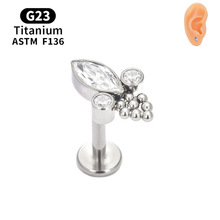 F136�ѺϽ������ʯƽ�������������Ƕ�G23�Ѵ���������Ʒ���׶�