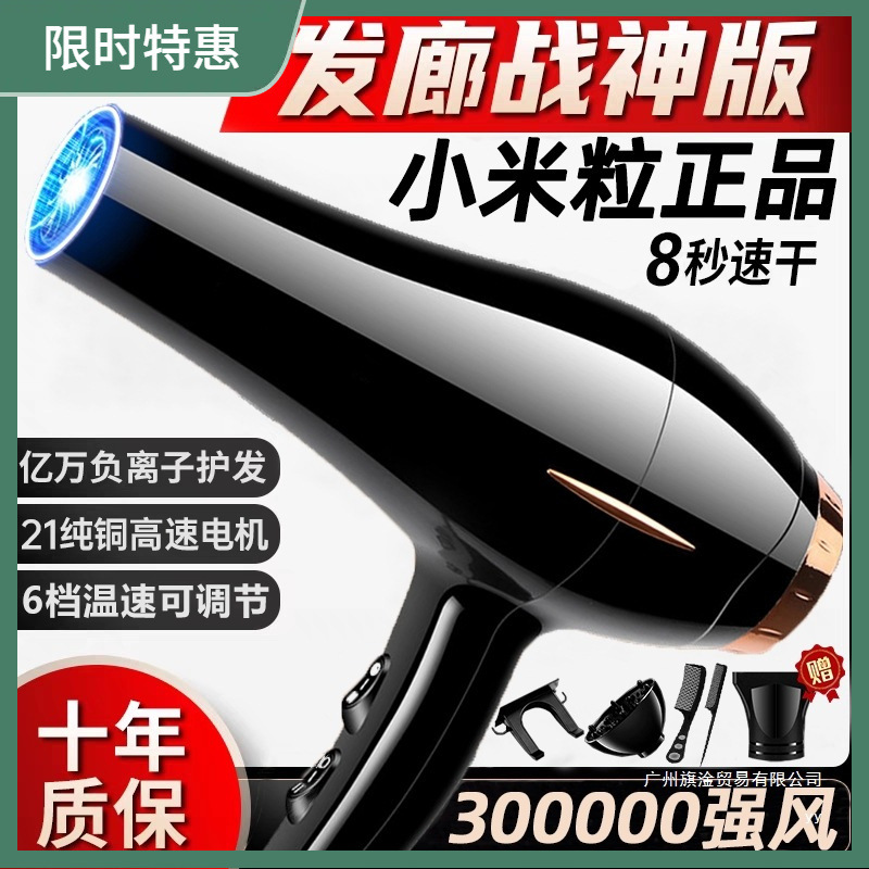 Negative Ion High Wind Silent Hair Dryer Household High Power Quick Drying Hair Care Hair Dryer High Speed