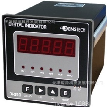 SENSTECH       DI-25W    流量计