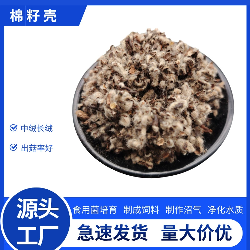 Хлопковые шелухи оптом, культивация съедобных грибов, корм для скота, длинноволокнистые хлопковые шелухи на складе, средневолокнистые хлопковые шелухи, скидки на большие объемы