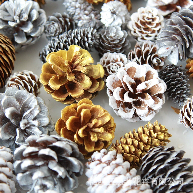 Dry Flower DIY Materials [Dry Fruit] Madman Sommelier Candle Plant Simagon Handmade Class Dry Flower Dry Branches Material