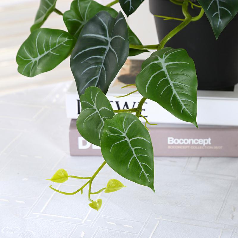 IMG_8749_好压看图