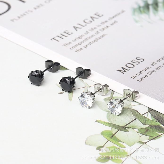 women's earrings stainless steel