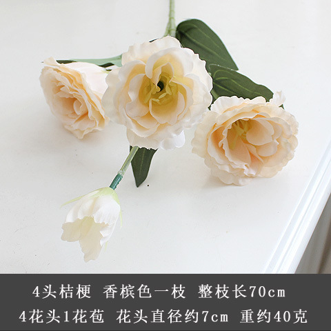 샴페인
